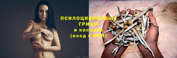 ГАЛЛЮЦИНОГЕННЫЕ ГРИБЫ Баксан