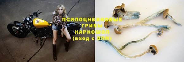 ГАЛЛЮЦИНОГЕННЫЕ ГРИБЫ Баксан