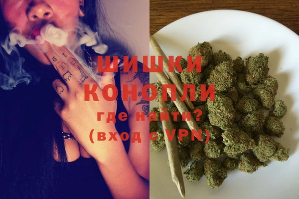 ГАЛЛЮЦИНОГЕННЫЕ ГРИБЫ Баксан