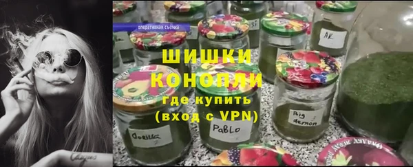 ГАЛЛЮЦИНОГЕННЫЕ ГРИБЫ Баксан